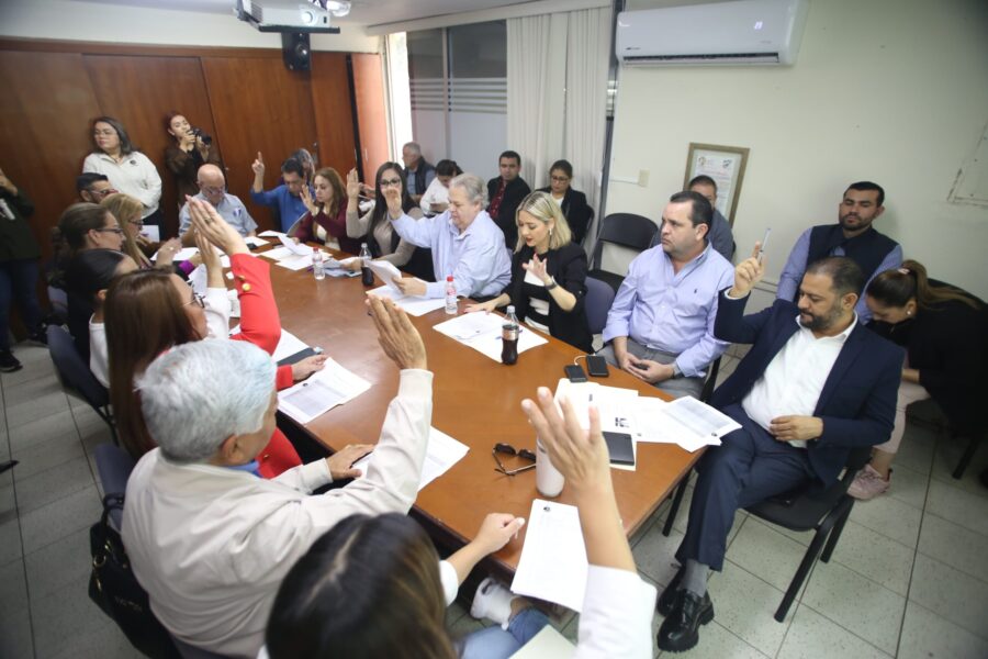 Votación en el Instituto de Cultura