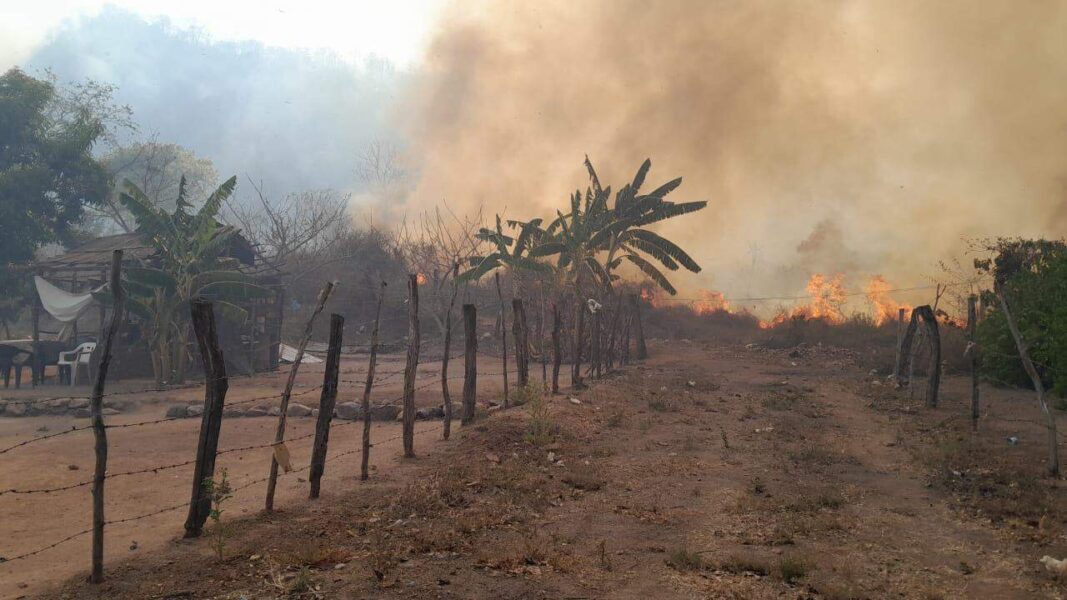 Incendios en Sinaloa